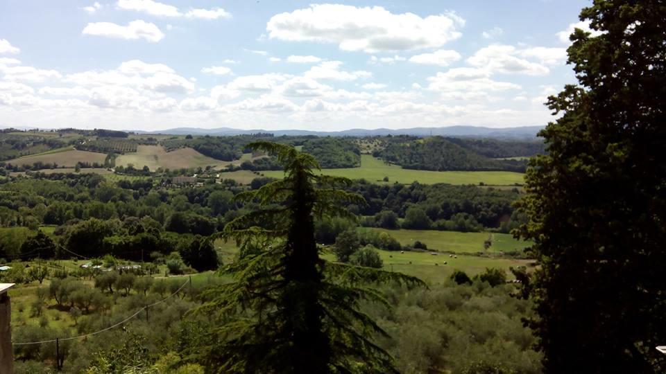 Appartamento Casa Michelangelo Megognano Esterno foto