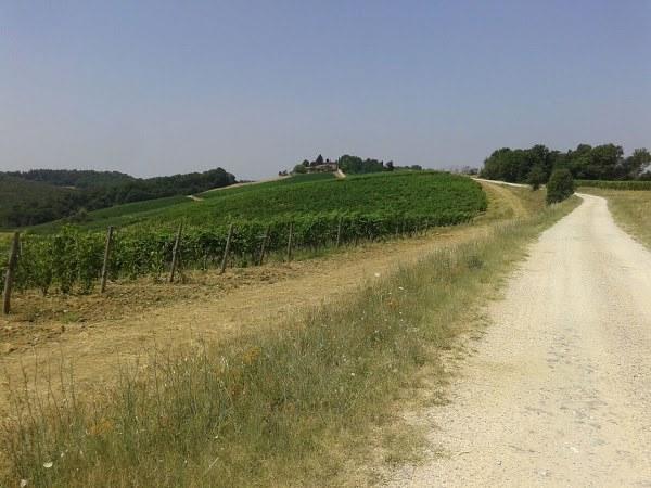Appartamento Casa Michelangelo Megognano Esterno foto
