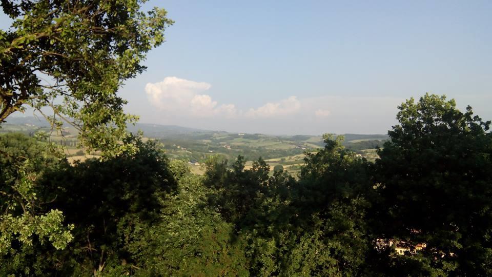 Appartamento Casa Michelangelo Megognano Esterno foto